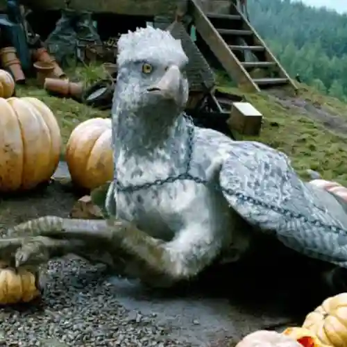 merchandising de buckbeak