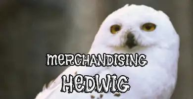 merchandising hedwig