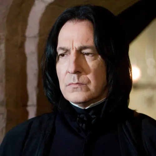 merchandising de severus snape