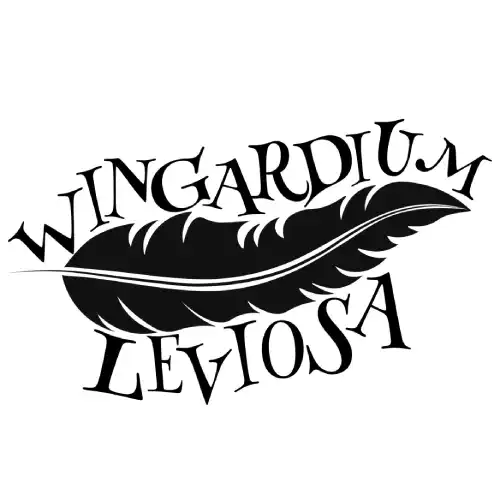 merchandising de wingardium leviosa